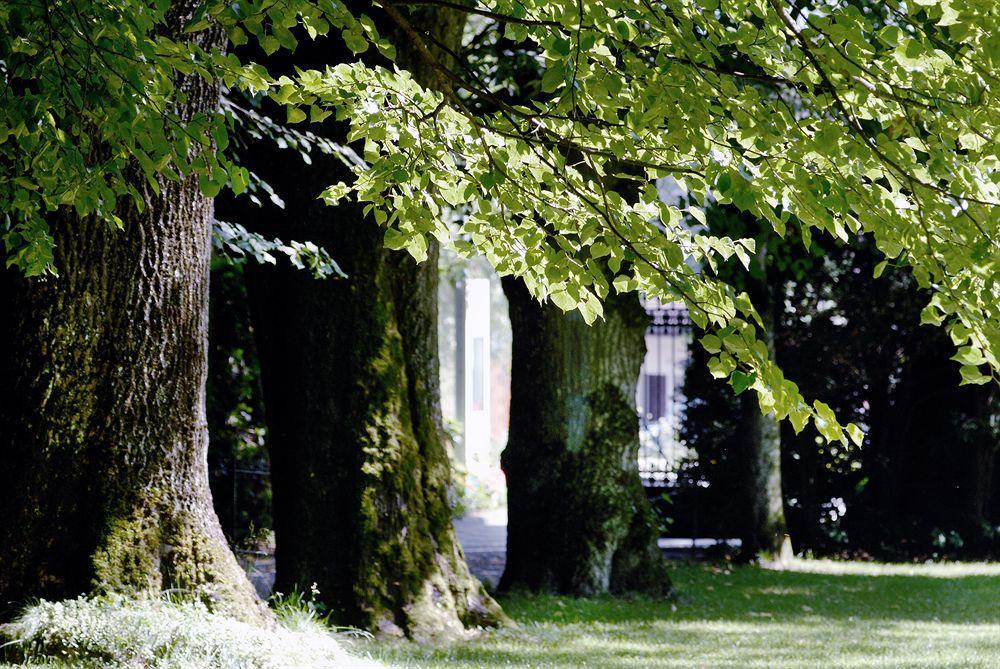 Schloss Huenigen Hotel